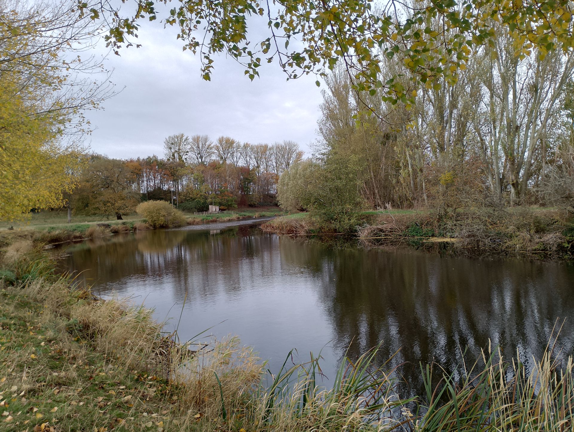 Another river picture